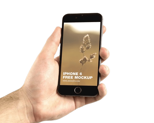 صورة المنتج